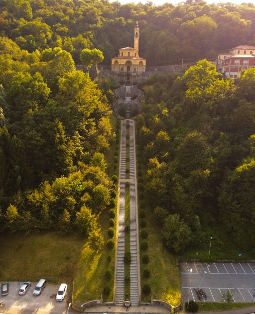 Madonna del Bosco